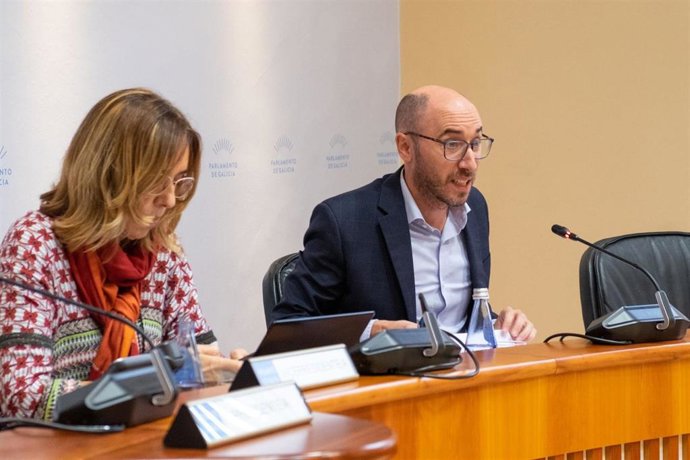 El director xeral de Familia, Infancia e Dinamización Demográfica, Jacobo Rey, en la Comisión 5 de Sanidade, Política Social e Emprego del Parlamento gallego.