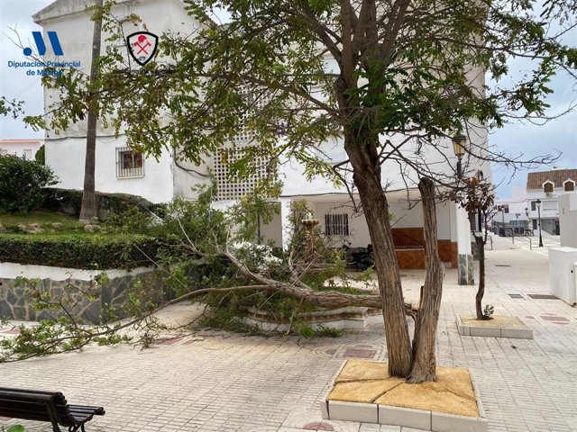 Afectaciones por el fuerte viento en la provincia de Málaga.