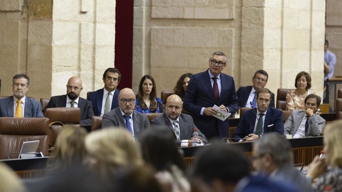 El portavoz de Vox en el Parlamento andaluz, Manuel Gavira, en una foto de archivo en el Pleno del Parlamento andaluz.