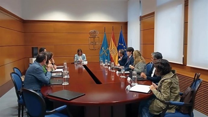 Consejo de Gobierno del Principado presidido por la vicepresidenta, Gimena Llamedo.