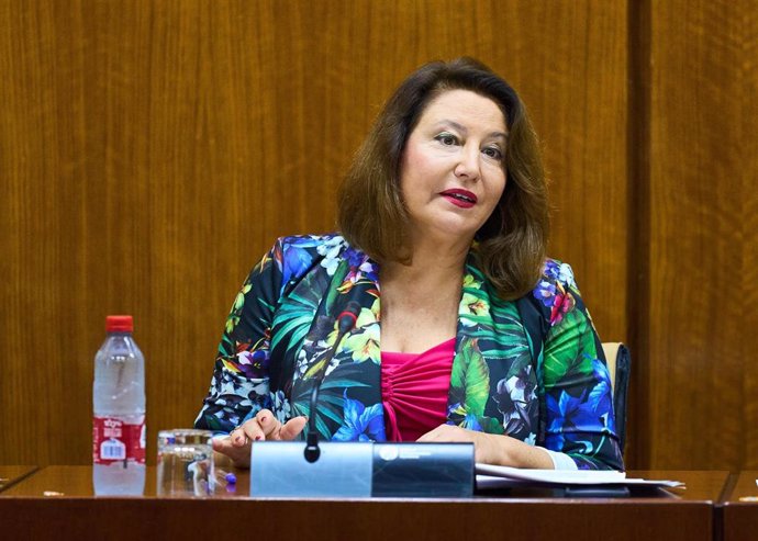 La consejera de Agricultura, Pesca, Agua y Desarrollo Rural, Carmen Crespo, en comisión parlamentaria.