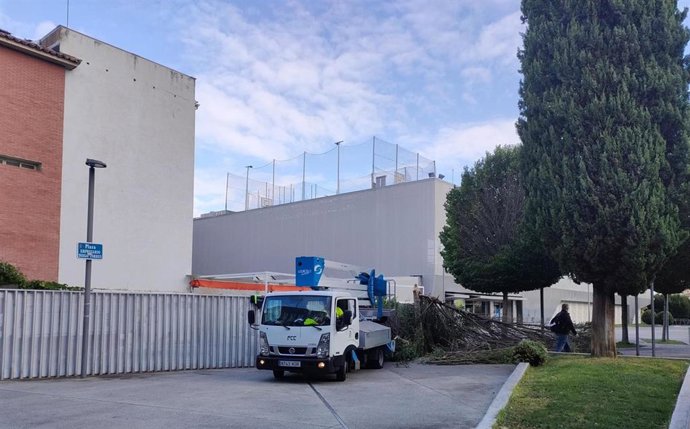 Retirada de árboles caídos por el viento