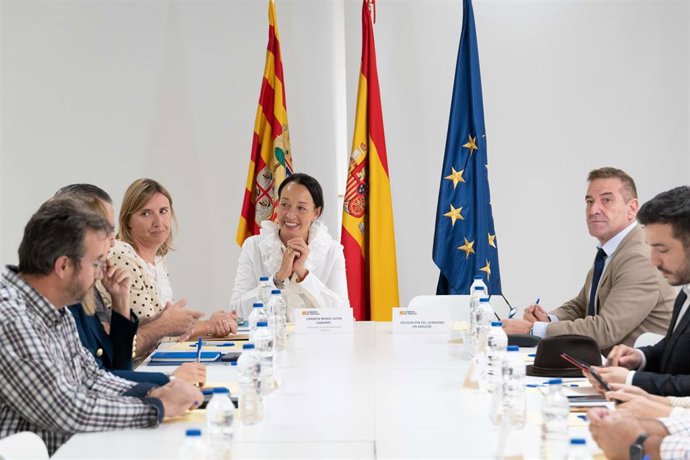 La consejera de Bienestar Social y Familia del Gobierno de Aragón, Carmen Susín.
