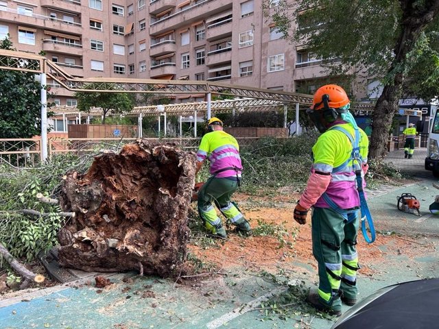 Técnicos de Parques y Jardines trabajando en Los Remedios, en Sevilla.