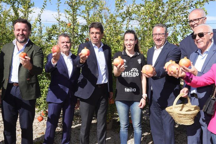 El president de la Generalitat, Carlos Mazón, el presidente de la Diputación de Alicante, Toni Pérez, y el alcalde de Elche, Pablo Ruz, en el inicio de la campaña de recolección de la Granada Mollar de Elche (Alicante) con Denominación de Origen
