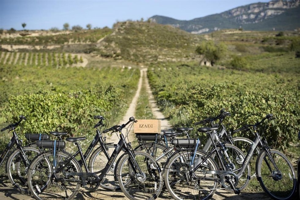 Archivo - Enoturismo en Bodegas Izadi
