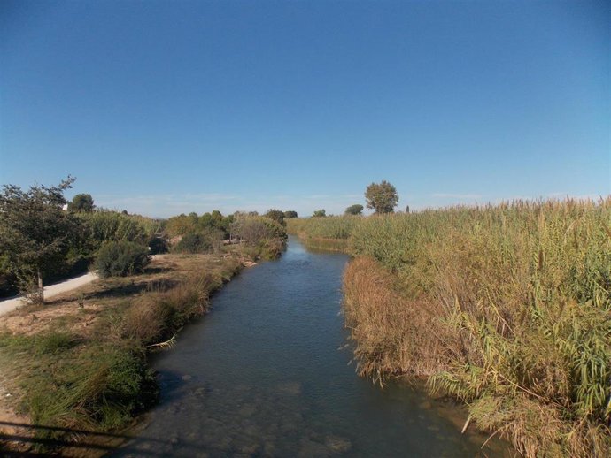 Río Turia a su paso por Riba-roja de Túria (Valencia)