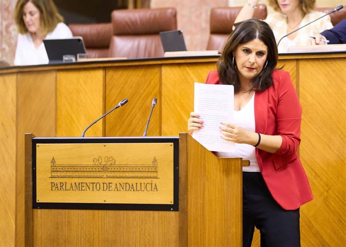 La portavoz del Grupo Socialista en el Parlamento andaluz, Ángeles Férriz, en una foto de archivo en el Pleno de la Cámara.