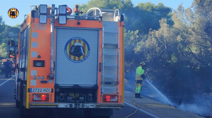 Estabilizado el incendio declarado este sábado en El Saler