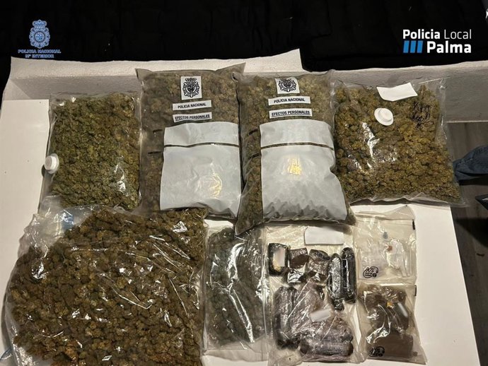 Sustancias estupefacientes incautadas en el registro al local que actuaba como asociación cannábica