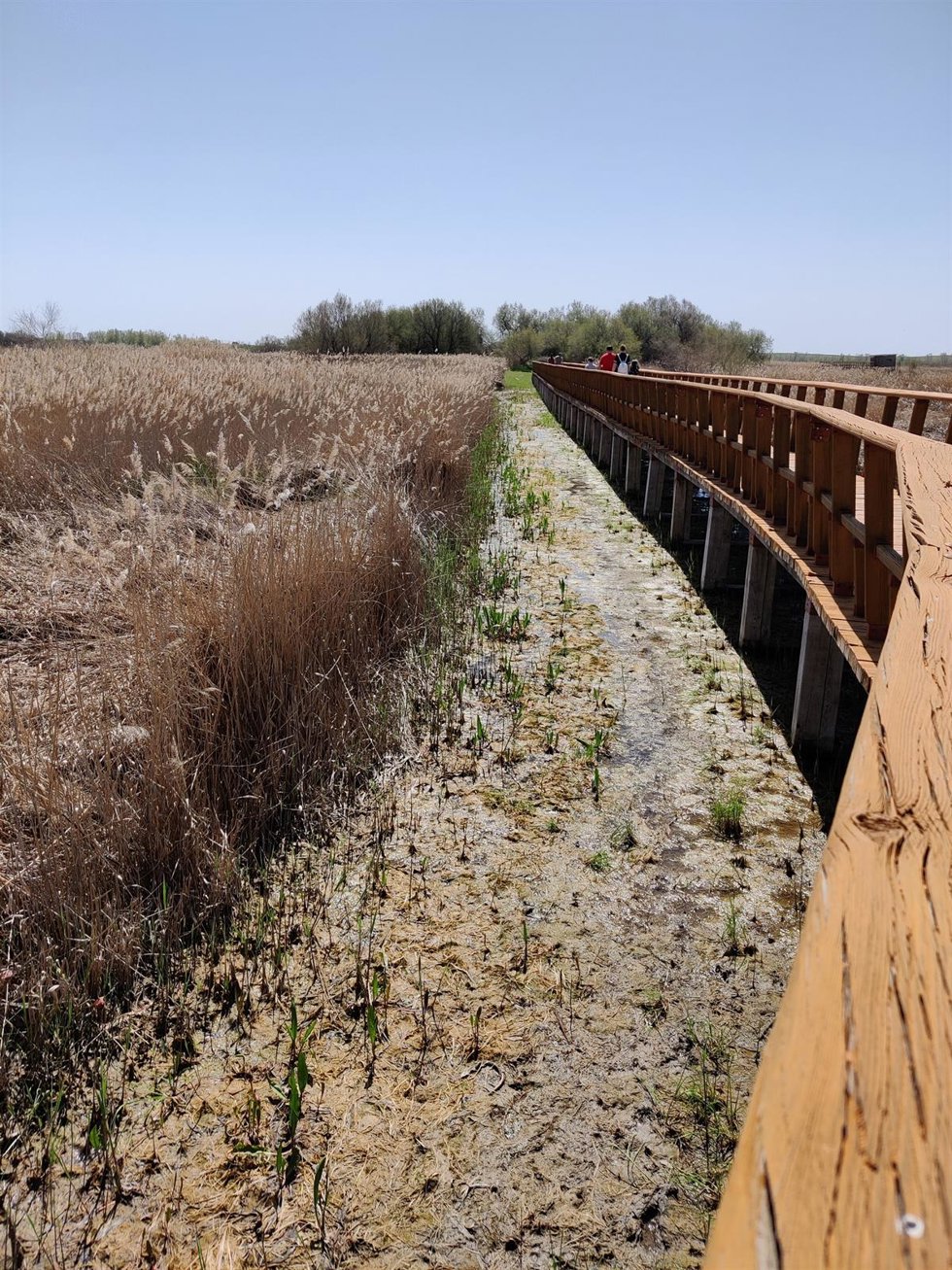 Archivo - Tablas de Daimiel
