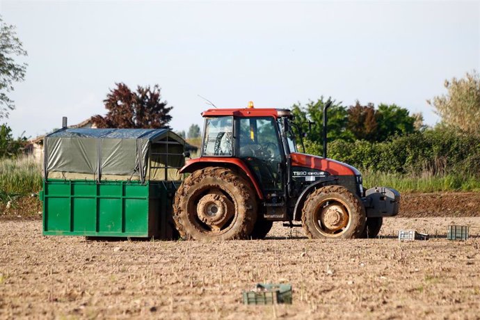 Archivo - Un tractor recoge las cajas de espárragos verdes recolectados en una plantación de Guadalajara, en imagen de archivo