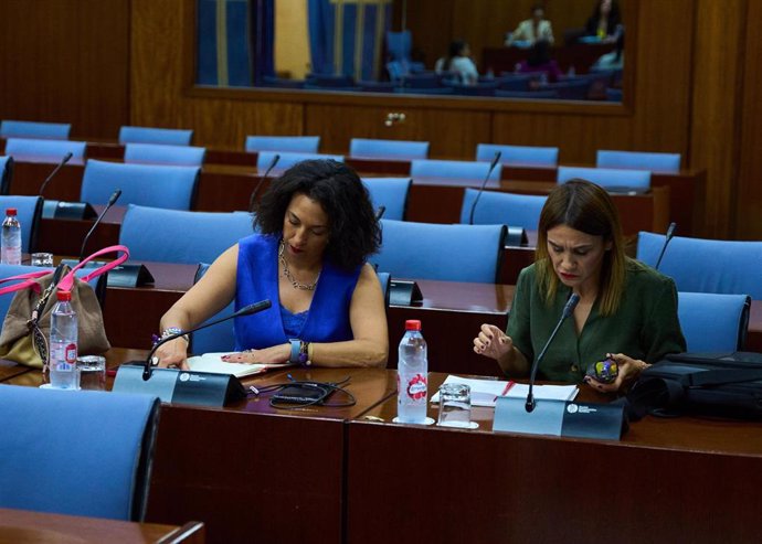 Las parlamentarias del PSOE-A Mercedes Gámez y Olga Manzano, en el grupo de trabajo relativo a garantizar la protección de menores ante el acceso a la pornografía en Intenet. (Foto de archivo).