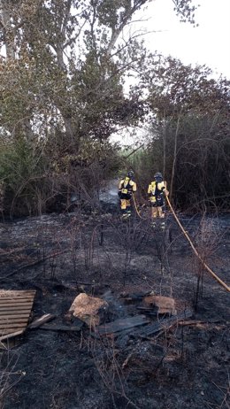 Efectivos del Ibanat trabajan en la extinción del incendio declarado este domingo en un torrente en Petra