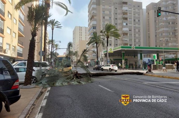 El temporal deja incidencias en la provincia de Cádiz