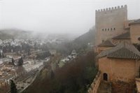 En la UCI una turista menor de edad herida por la caída de una rama en los jardines de la Alhambra (Granada)