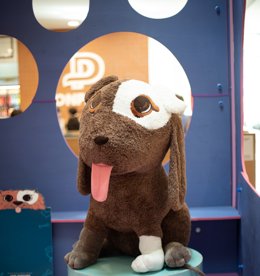 Comunicados Sociedad