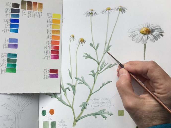 Archivo - Arxiu - Anotacions de camp