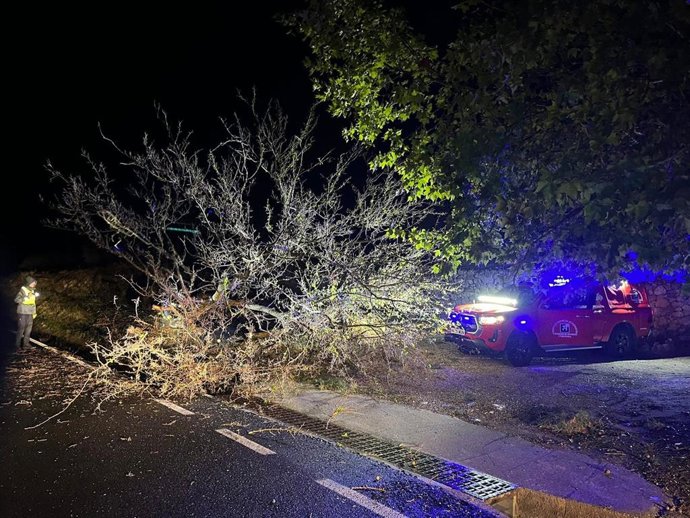 Bomberos del Consorcio de Prevención y Extinción de Incendios retiran un árbol caído en una carretera cordobesa.