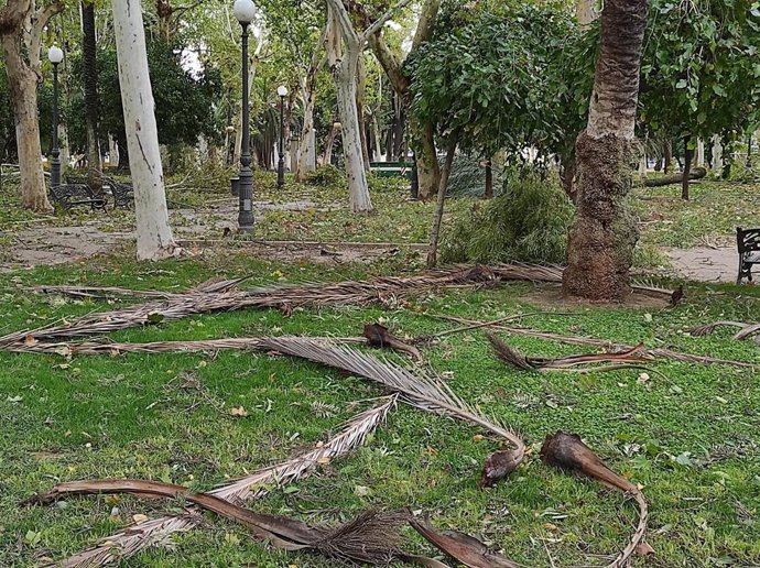 Daños de la borrasca 'Bernard' en Córdoba, que la Agencia Estatal de Meteorología (Aemet) investiga como "ciclón subtropical".