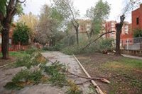 La Junta traslada su apoyo a los afectados por la borrasca Bernard y pide prudencia y responsabilidad