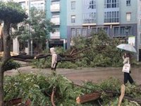 El Ayuntamiento de Huelva solicitará la declaración de zona catastrófica y abre una oficina por los daños del temporal