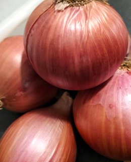 Cebollas.