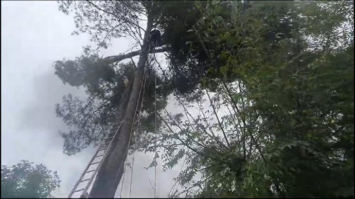 Intervención de los Bomberos del Aljarafe con motivo de la borrasca Bernard.