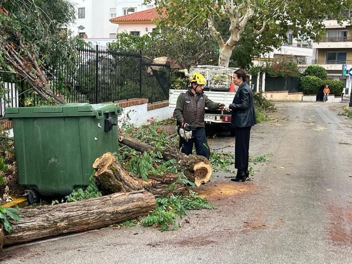 La alcaldesa, María de la Paz Fernández, ha visitado junto con la delegada de Obras y Parques y Jardines, Concha Muñoz, todas las barriadas y zonas más afectadas por las rachas de viento