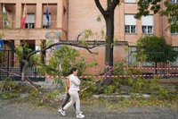Contratación "inmediata" de 85 personas para recoger ramas y basura de las calles de Sevilla tras la borrasca Bernard