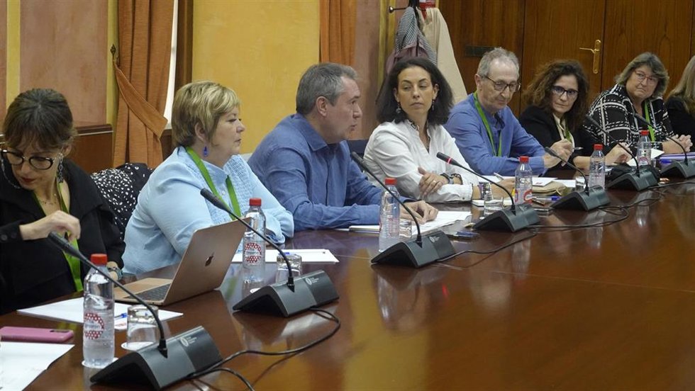 El secretario general del PSOE-A y presidente del Grupo Socialista, Juan Espadas, este lunes ha presidido la reunión del grupo de trabajo sobre violencia de género integrado por parlamentarios socialistas.