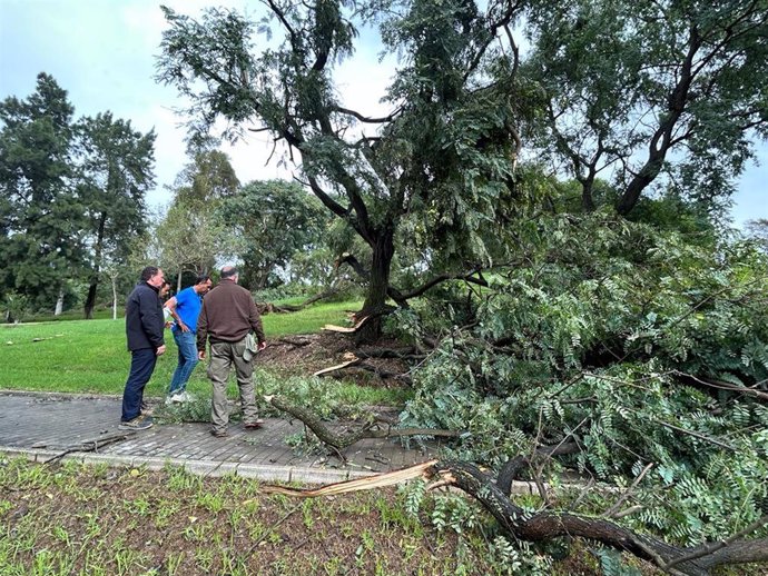 El presidente de la Diputación de Huelva, David Toscano,  visita las zonas afectadas por la borrasca para conocer in situ los daños