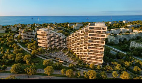 Comunicados Internacional