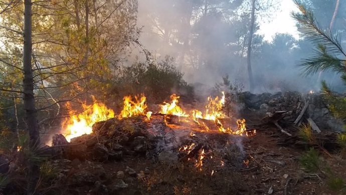 Archivo - Uno de los incendios forestales registrados en Esporles el mes de agosto.