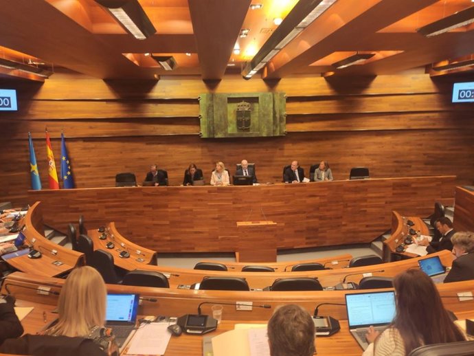 Pleno de la Junta General del Principado de Asturias