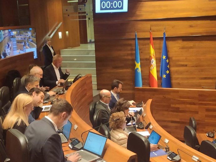 Pleno de la Junta General del Principado de Asturias