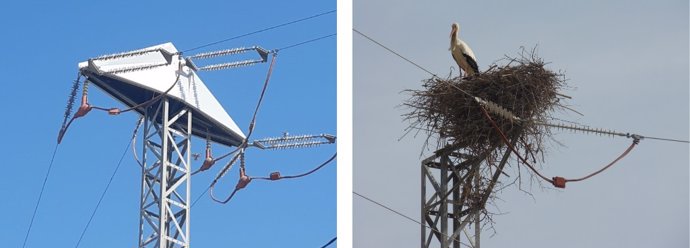 Archivo - Una torre eléctica con el nuevo dispositivo y otra con un nido de cigüeña.