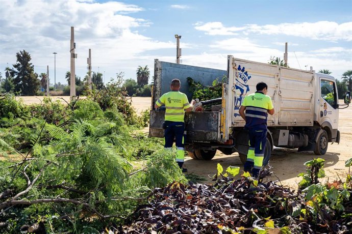 Trabajos de retiradas de árboles caídos tras el temporal por parte del Servicio Municipal de Parques y Jardines del Ayuntamiento de Huelva.