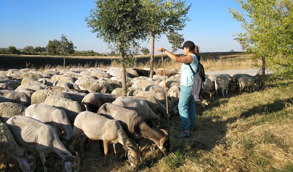 Archivo - Consejo.- Ucrania.- Junta reparte 26,7 millones del Fondo de Reserva de Crisis de la UE para paliar efectos de la guerra