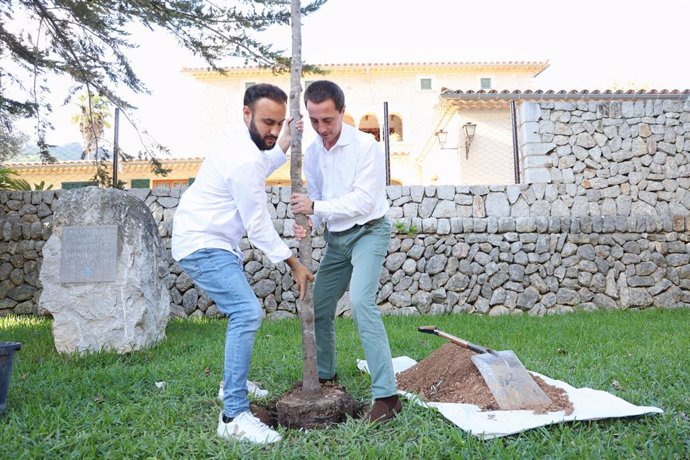 El Consell de Mallorca conmemora el Día del Cambio Climático plantando un árbol.