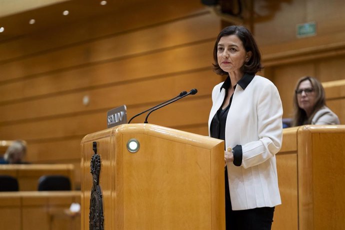 La senadora del PSOE Eva María Granados interviene durante una sesión plenaria en el Senado, a 17 de octubre de 2023, en Madrid (España). 