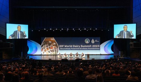 Comunicados Internacional