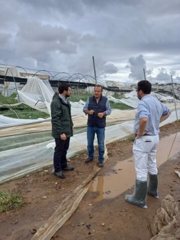 Cultivos afectados tras el temporal