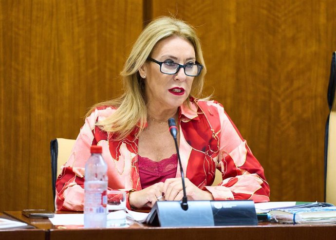 La consejera de Economía, Hacienda y Fondos Europeos, Carolina España, en comisión parlamentaria. (Foto de archivo).