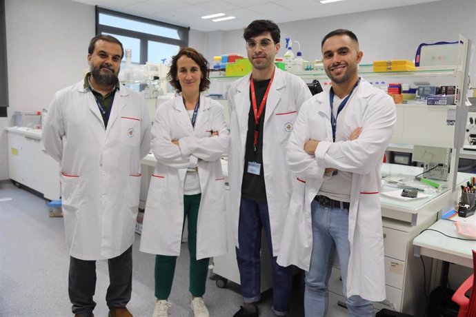 Los investigadores de la CEU UCH Eloy Bejarano, Inma Almansa, Alejandro Ponce y Antolín Cantó, coautores del estudio publicado en Redox Biology.