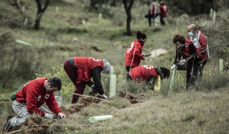 Cooperación y Desarrollo