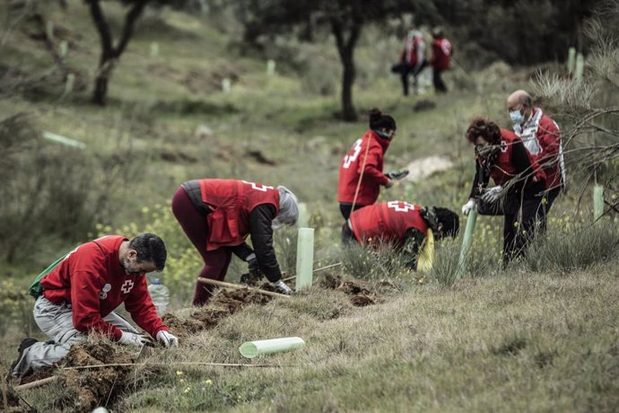 Efectivos de Cruz Roja trabajan en uno de sus proyectos de reforestación.