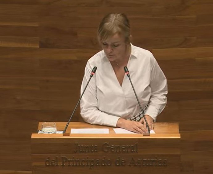 Covadonga Tomé interviene en la Junta General del Principado.