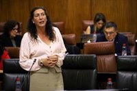 López dice Andalucía es "muy solidaria" aunque ha "echado de menos lealtad institucional" en el traslado de inmigrantes