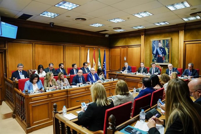 Pleno de la Diputación de Almería.